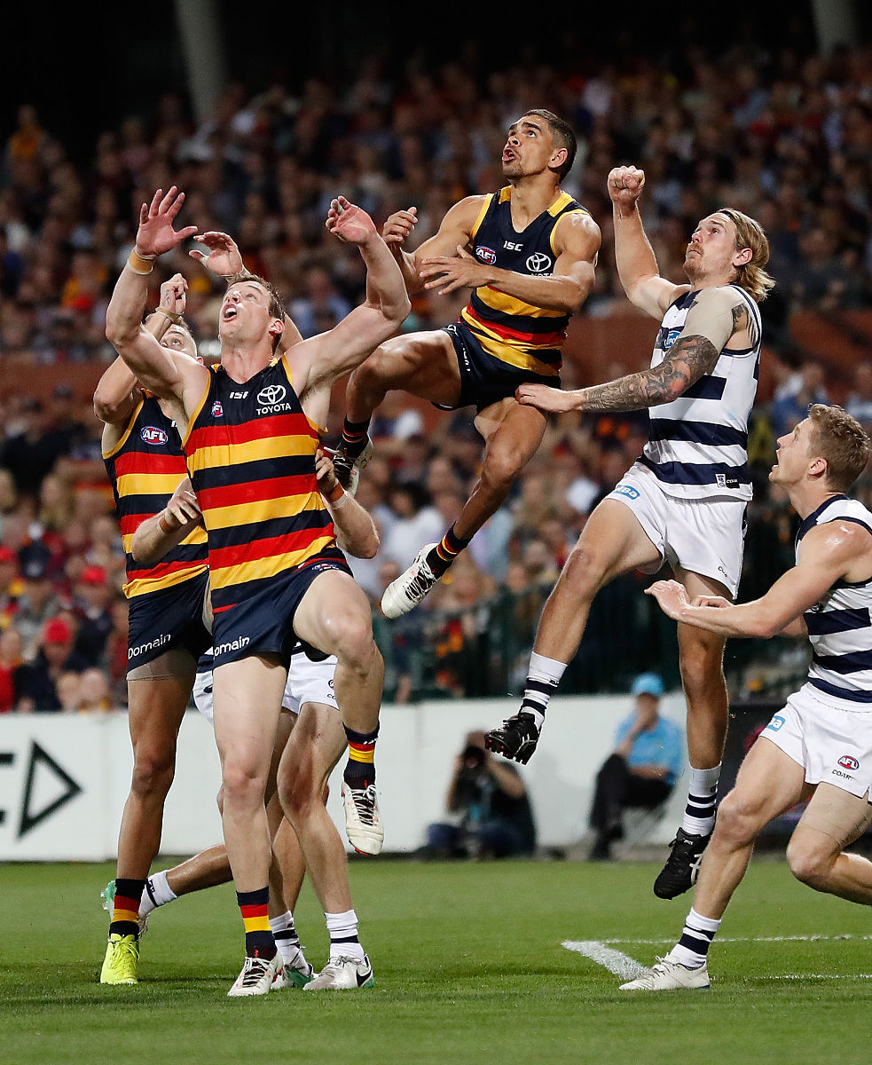 k1体育官网登录-佩斯科夫承认损失巨大